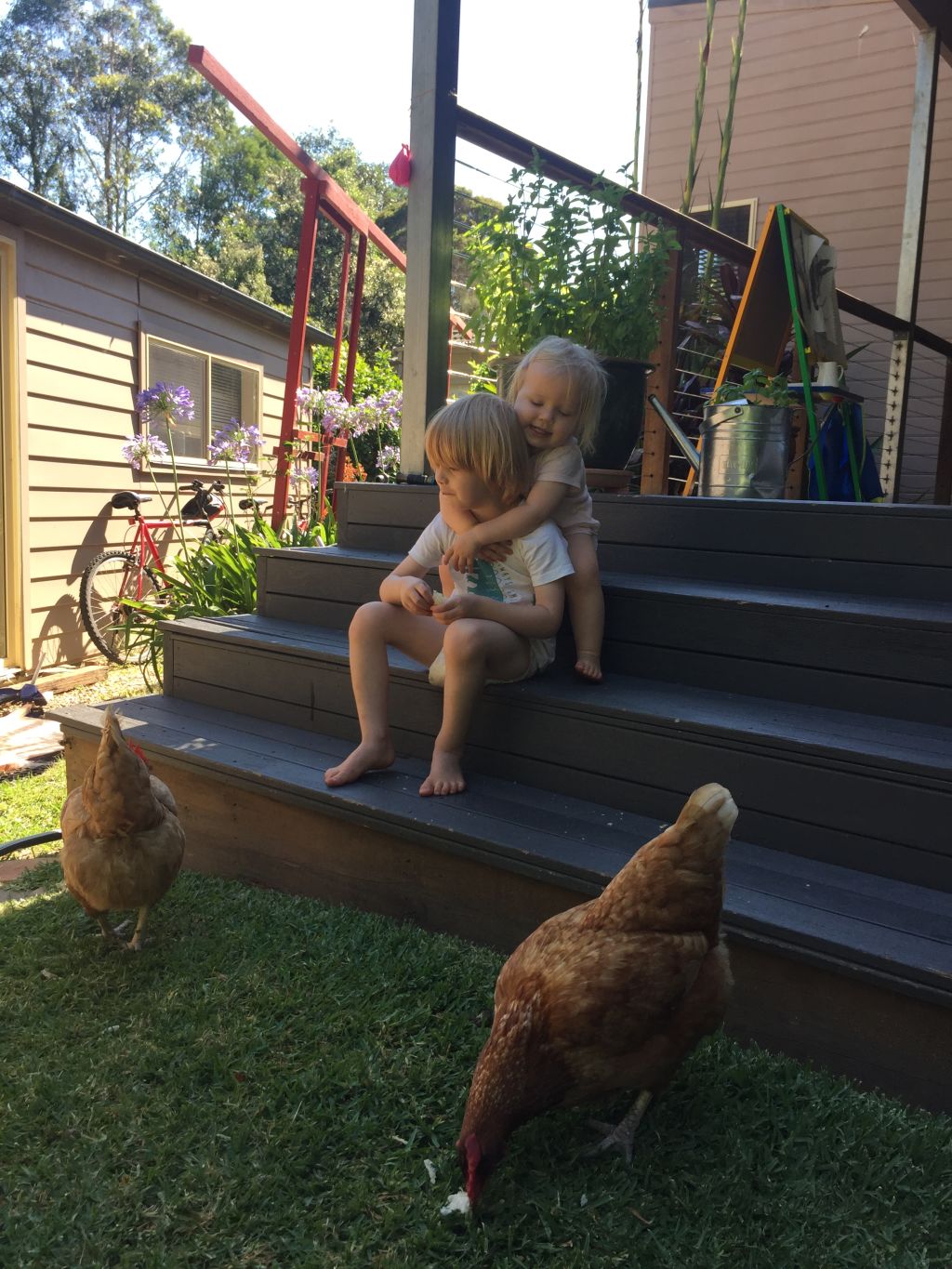 Rosie Chase and James Grieve's kids Charlie and Ella love interacting with their backyard chooks.
