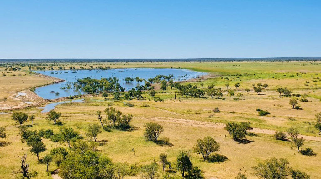 Queensland graziers steer Saxby Downs station to market