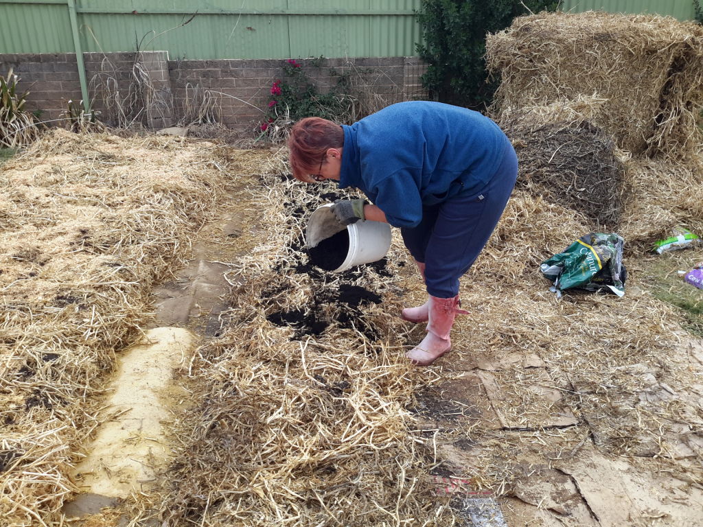 Wetherall chose a no-dig method to create the garden bed, layering cardboard on the established grass then heaping that with cow manure. Photo: Supplied