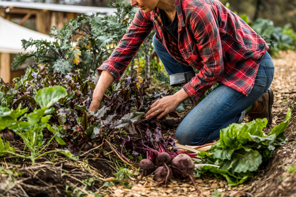 Blazey believes knowing how to grow your own food is a fundamental skill everyone should have. Photo: Natalie Mendham