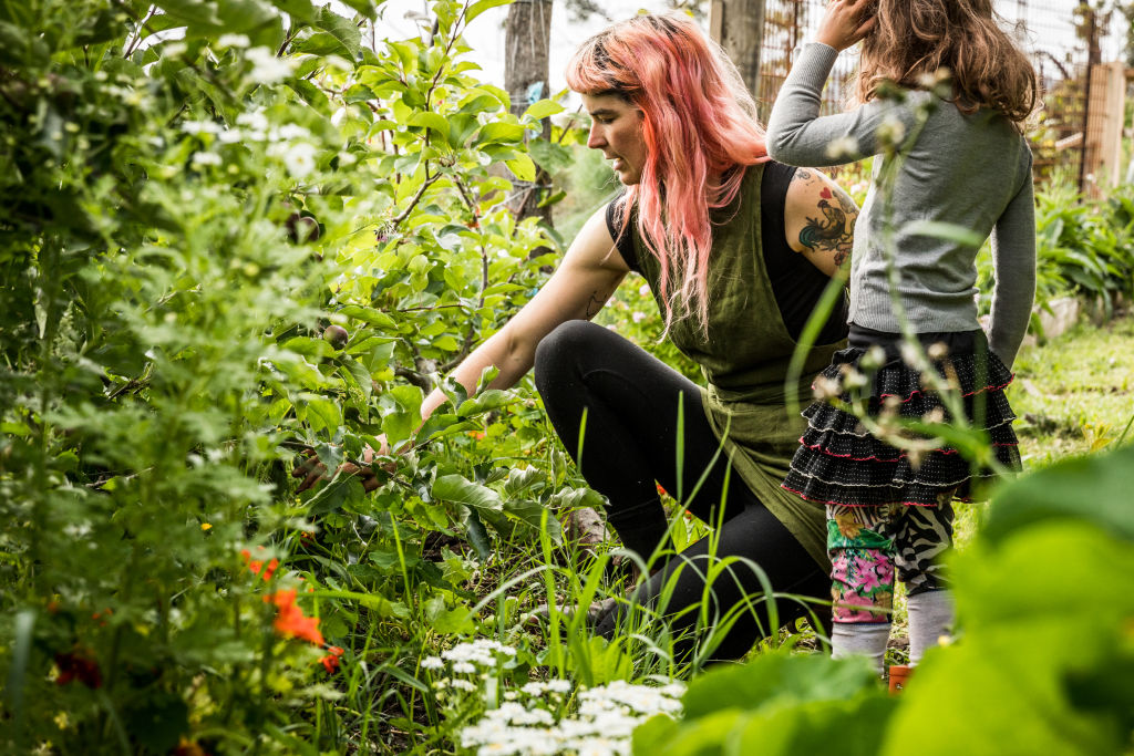 Hannah Moloney was inundated with requests from people wanting to start their own backyard food supply – and fast. Photo: Natalie Mendham