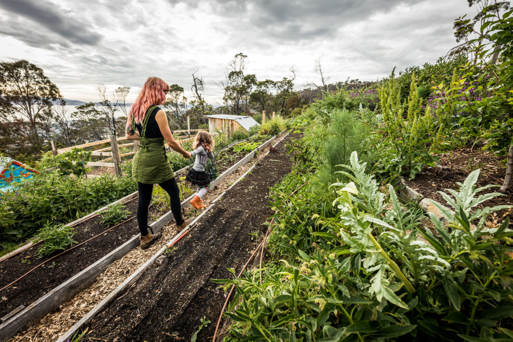 Moloney knew her small urban farm, three kilometres from Hobart, would generate enough food to last her family for months. Photo: Natalie Mendham