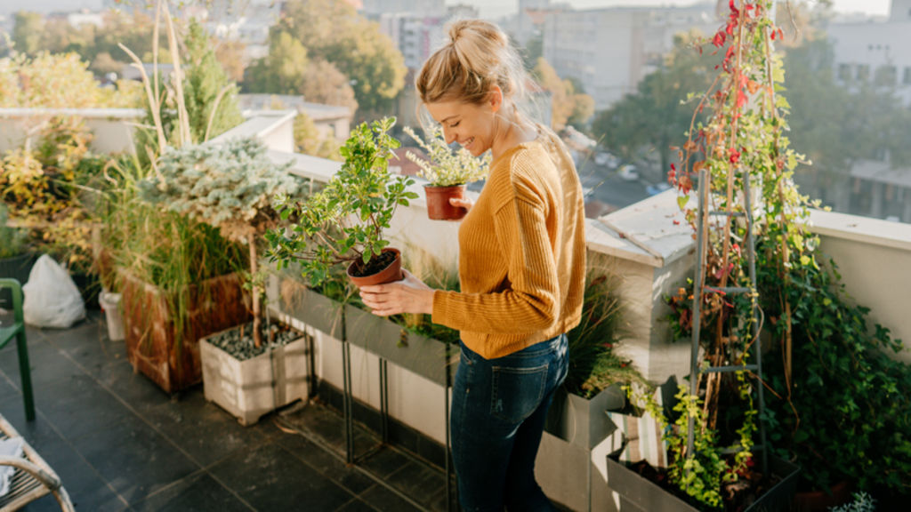 Before you head for the soil and the gloves, take a look at how to make sure you're getting the most out of your balcony garden. Photo: iStock