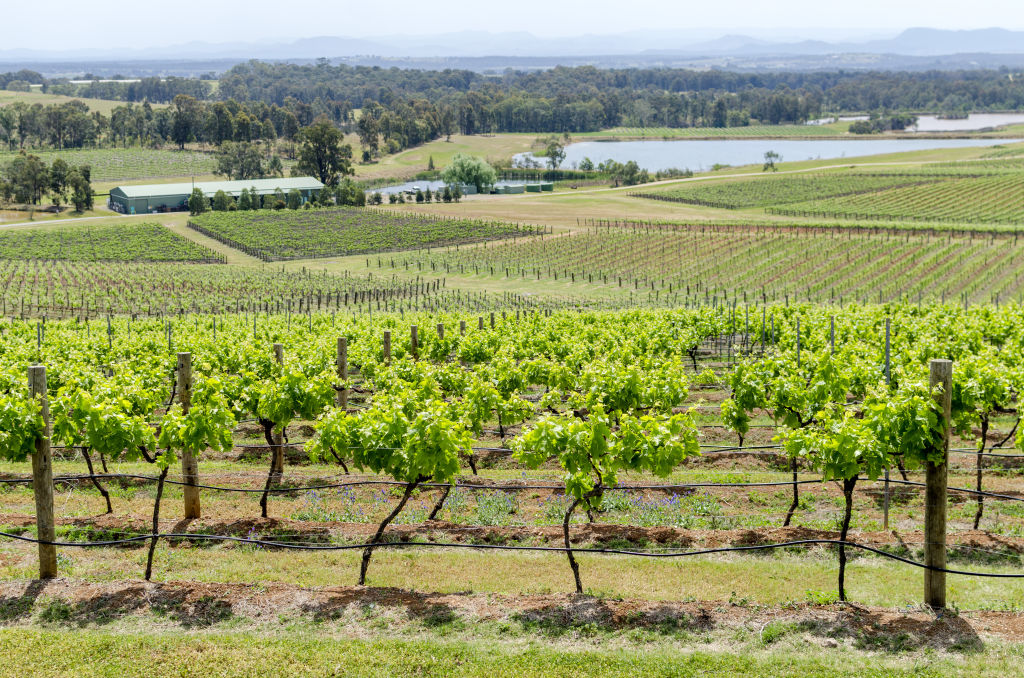 There are a range of industries in the Hunter. Photo: iStock