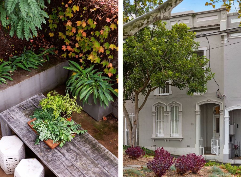 Number 54 Gurner Street, Paddington, was a boarding house before the previous owner, Robert Burton, restored it to its original beauty. Photo: 1st City Real Estate Group