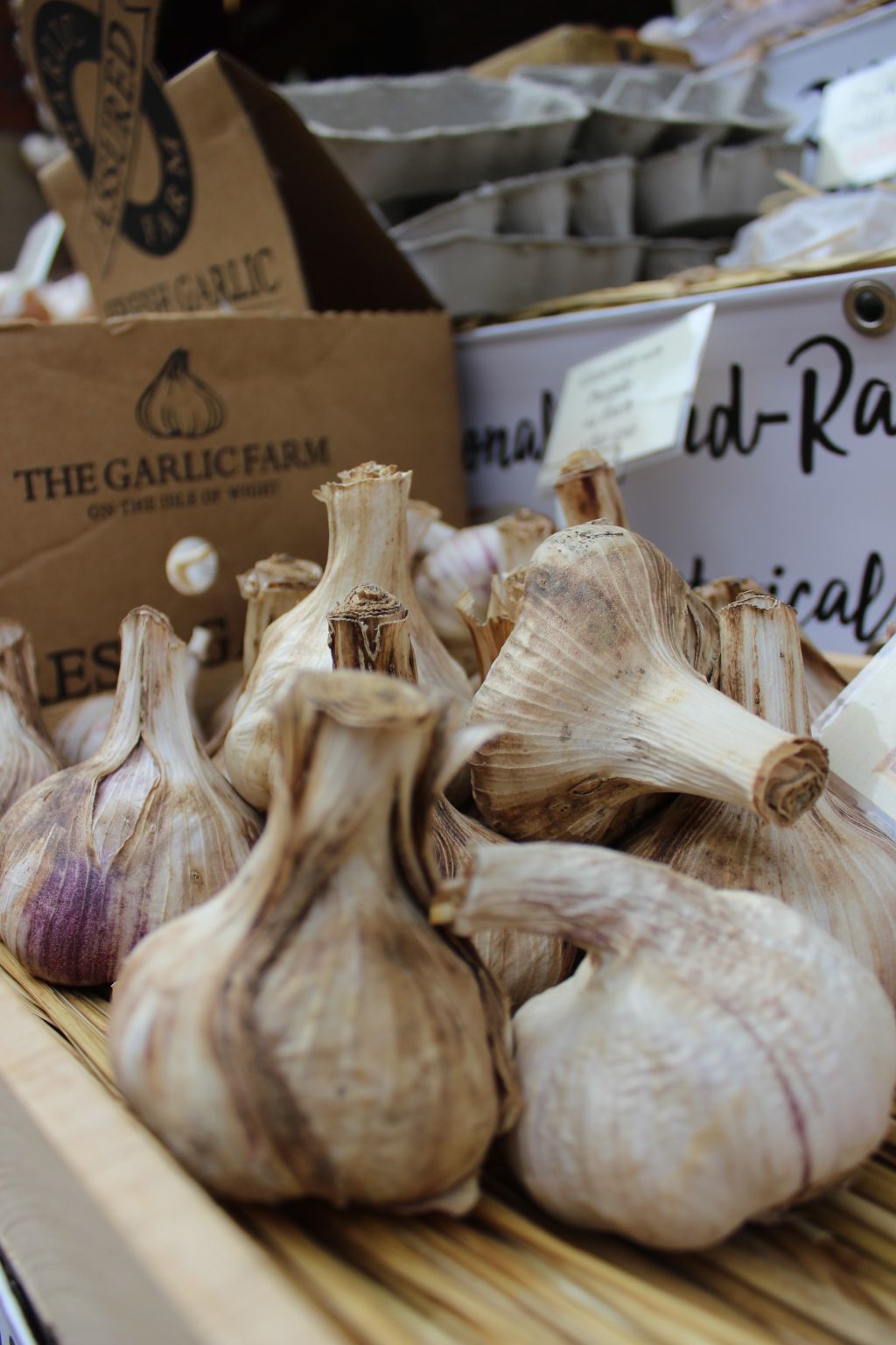 Ideally you’ll want to do some research into what type of garlic is most suitable for your region. Photo: Alex Carlyle