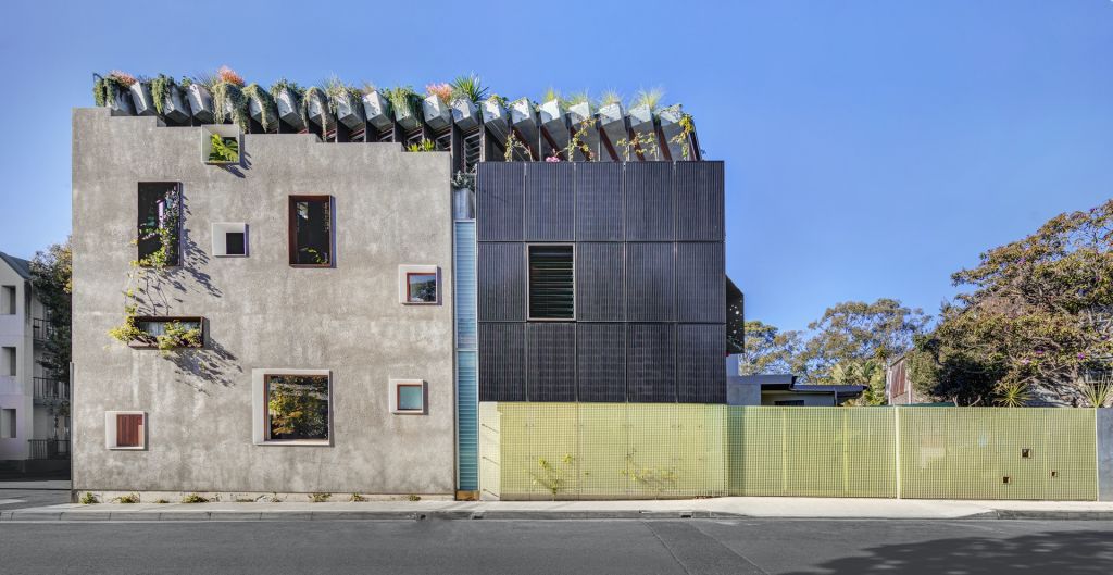 The rooftop garden produces food. Photo: Murray Fredericks