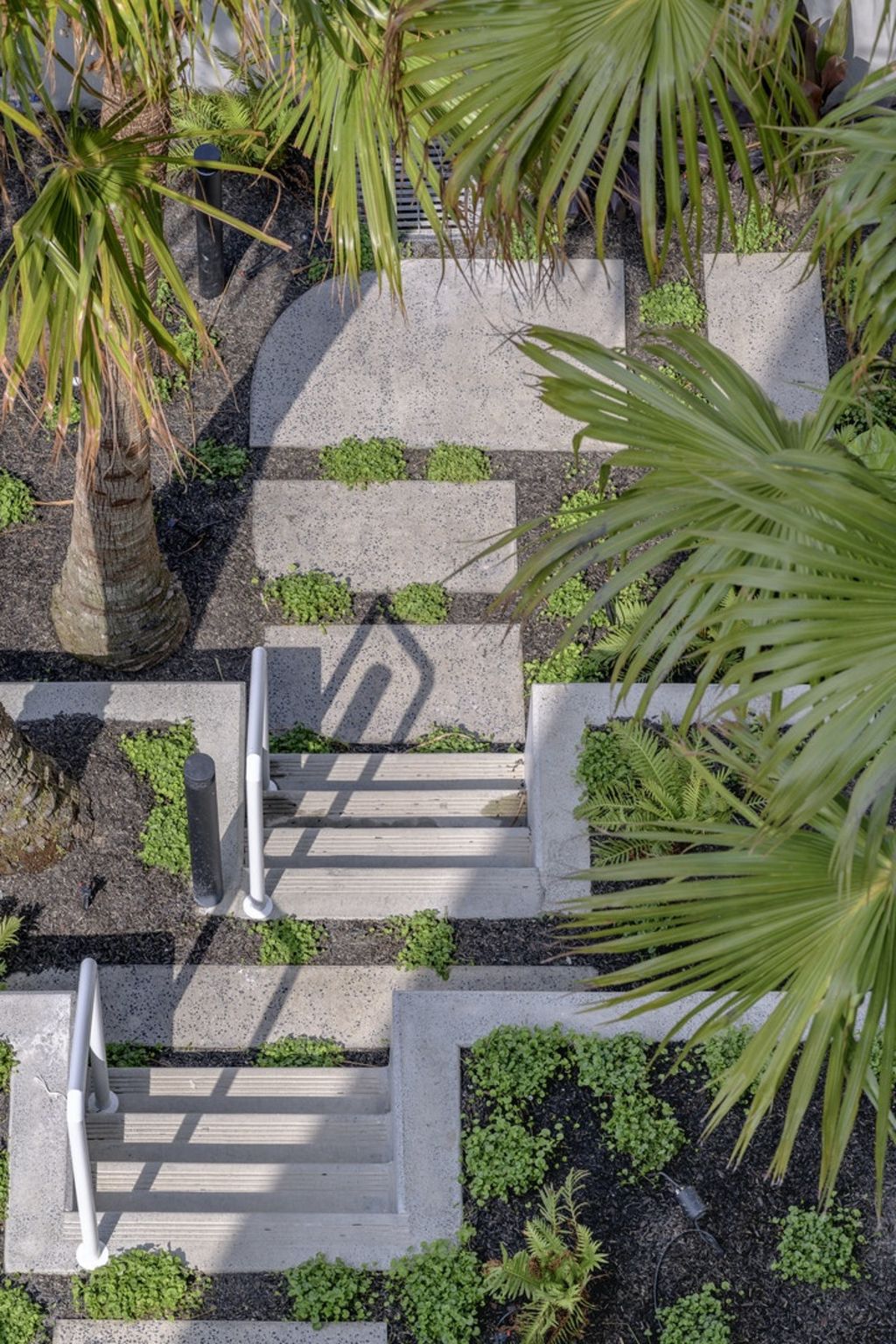 The greenery at the studio apartments by Hill Thalis. Photo: Supplied