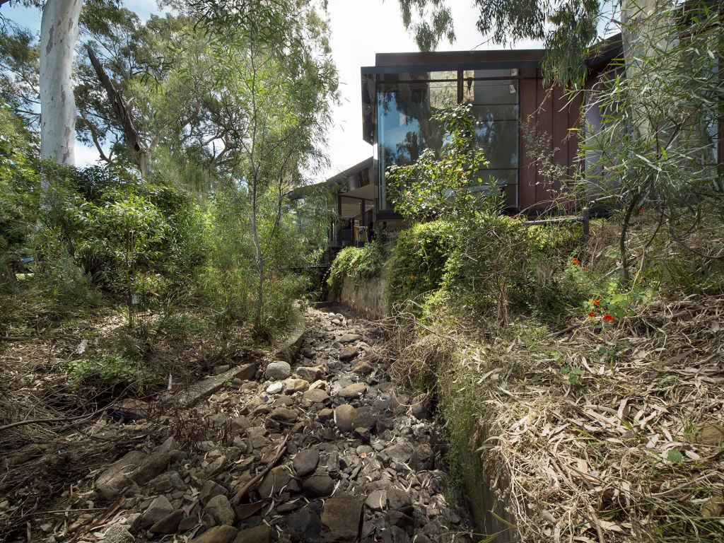 The house's shape responds to the creek and hugs the trees. Photo: John Adam