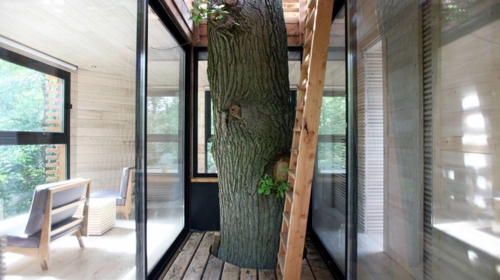 The trunk of the 100-year-old oak is a central feature. The ladder leads up to a private rooftop terrace. Photo: Marco Lavit Nicora