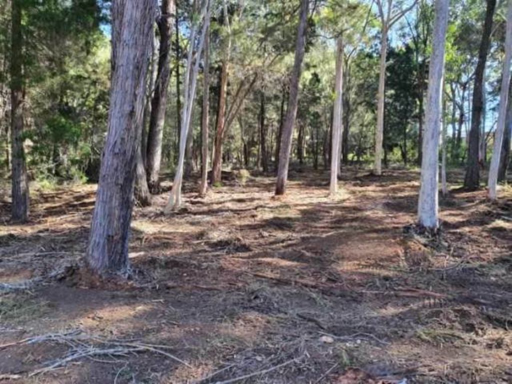 The block of land on Russell Island which Chris Gorter and Christie Waddups plan to build on. Photo: Supplied