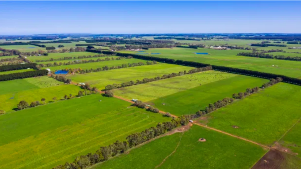 Northern Rivers buyer swoops on Victorian dairy farm