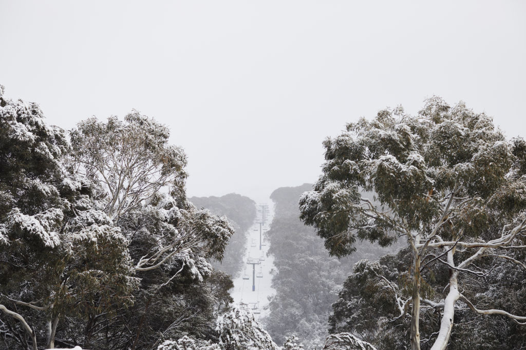 Snow blankets the landscape in Thredbo in the Snowy Mountains, a sought-after region for alpine property. Photo: Monique Easton