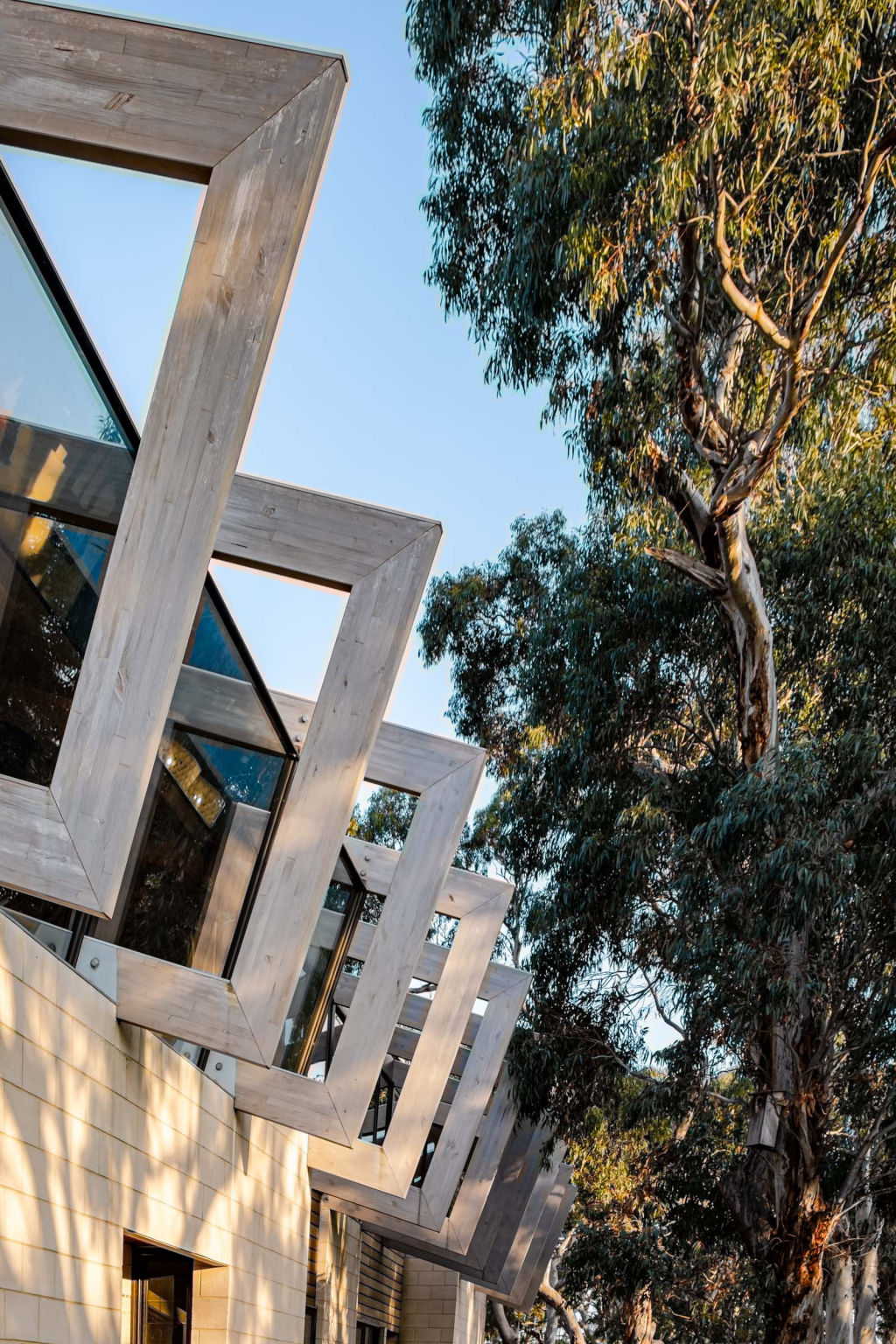 A grand order of portal framing ties a house into its treed situation. Photo: Steph McGlenchy