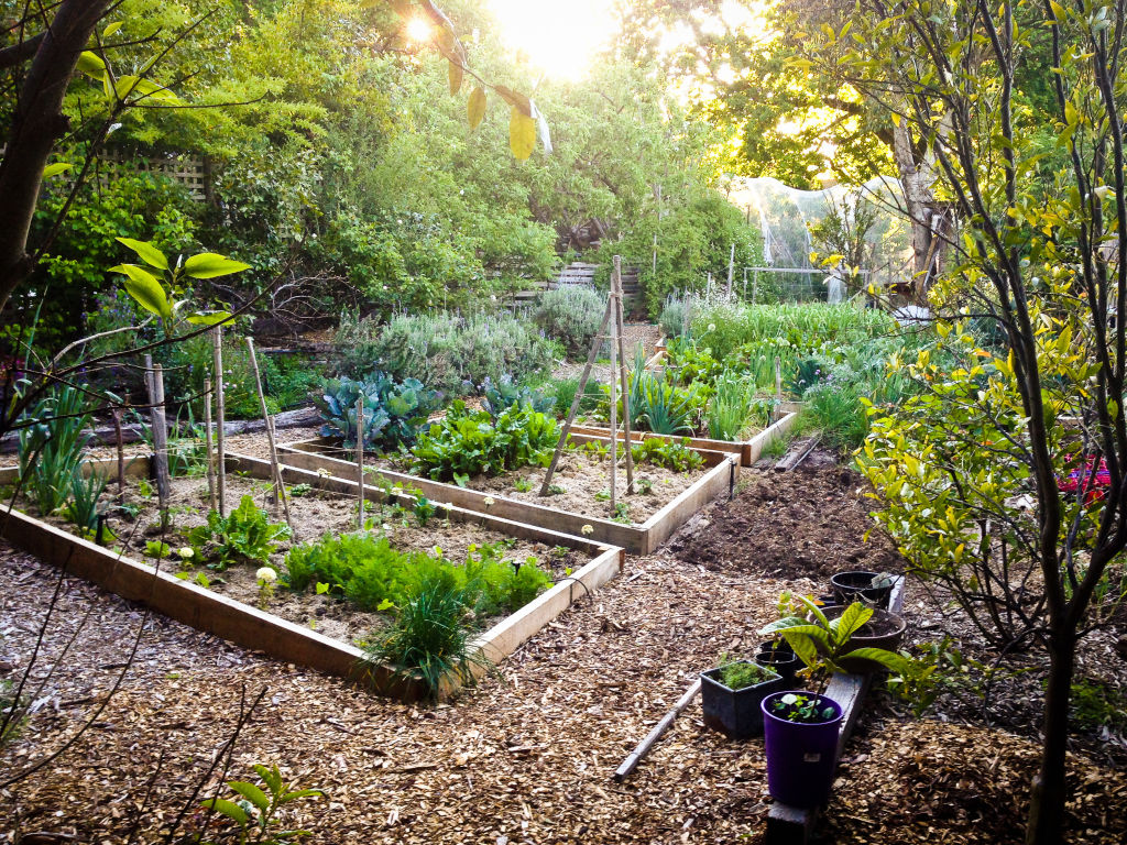 Kirstine Lumb-McKay and her family gradually been converting the established garden into an edible landscape at their property in Bowral, NSW. Photo: Supplied