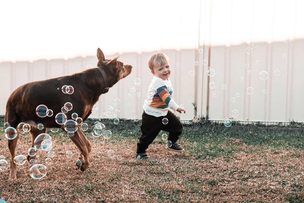 Asher enjoying the space in the backyard and playing with pet Auri. Photo: Supplied