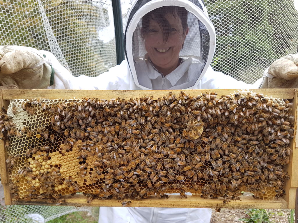Virginia Solomon beekeeping on her sprawling property in Research. Photo: Supplied