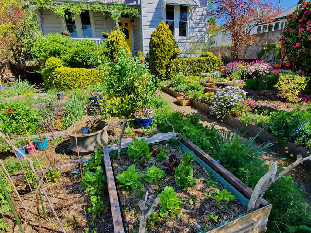 A permaculture property in Katoomba, NSW. Photo: Supplied