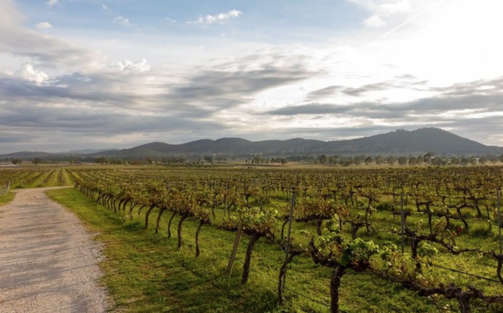 Live the dream: Five wineries for sale right now