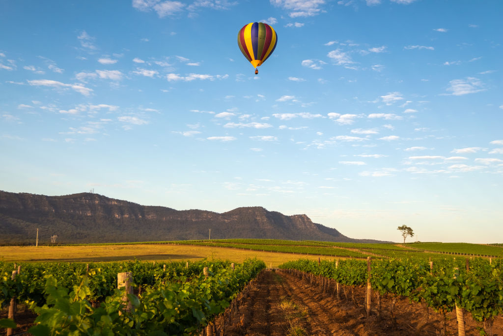 The Hunter Valley is renowned for its wineries. Photo: Sean Barlow Photography