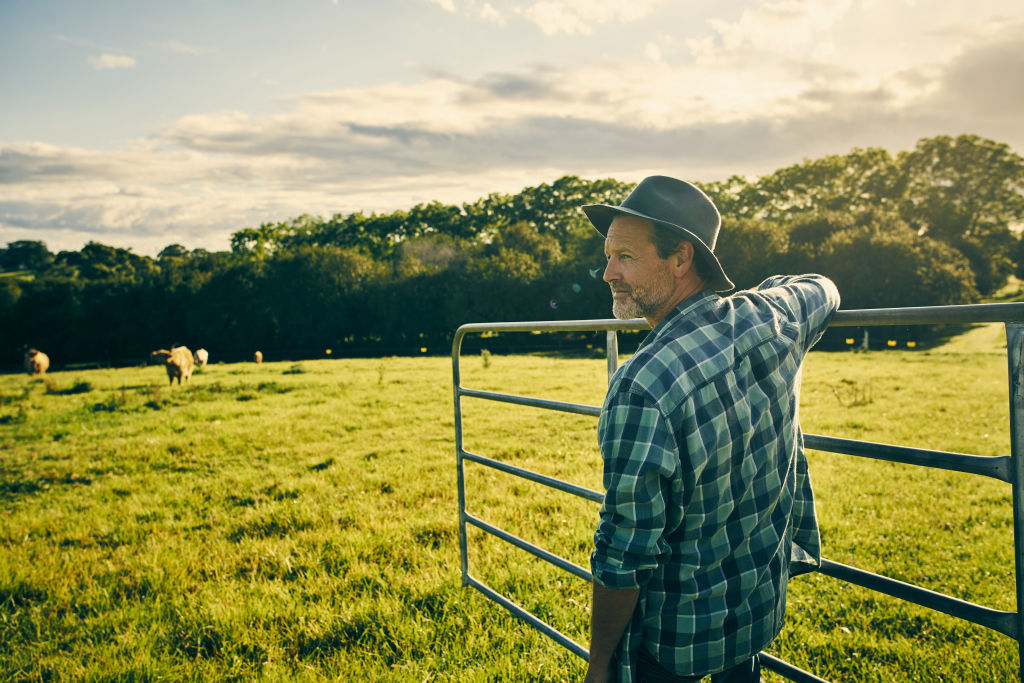 Steady trend towards bigger, fewer farms