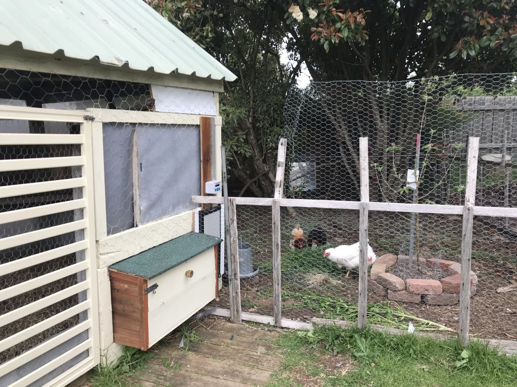Melanie Bruce says working on the backyard hen house helped maintain her sanity during the coronavirus-related lockdown and restrictions. Photo: Supplied