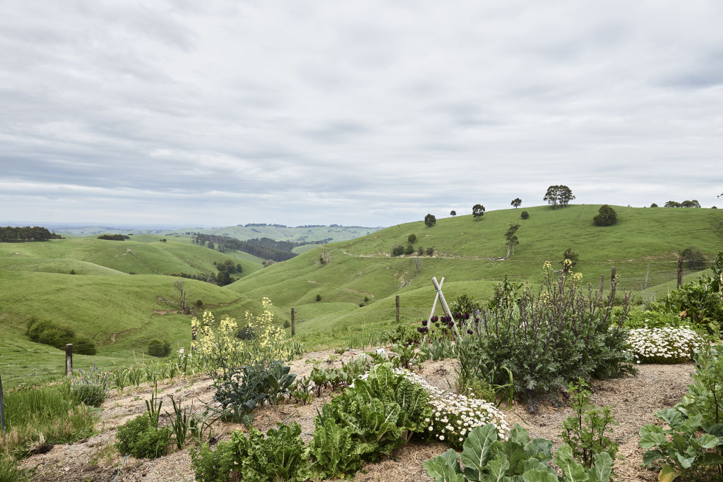 The scenic views from Shelley and Tom's property. Photo: Eve Wilson