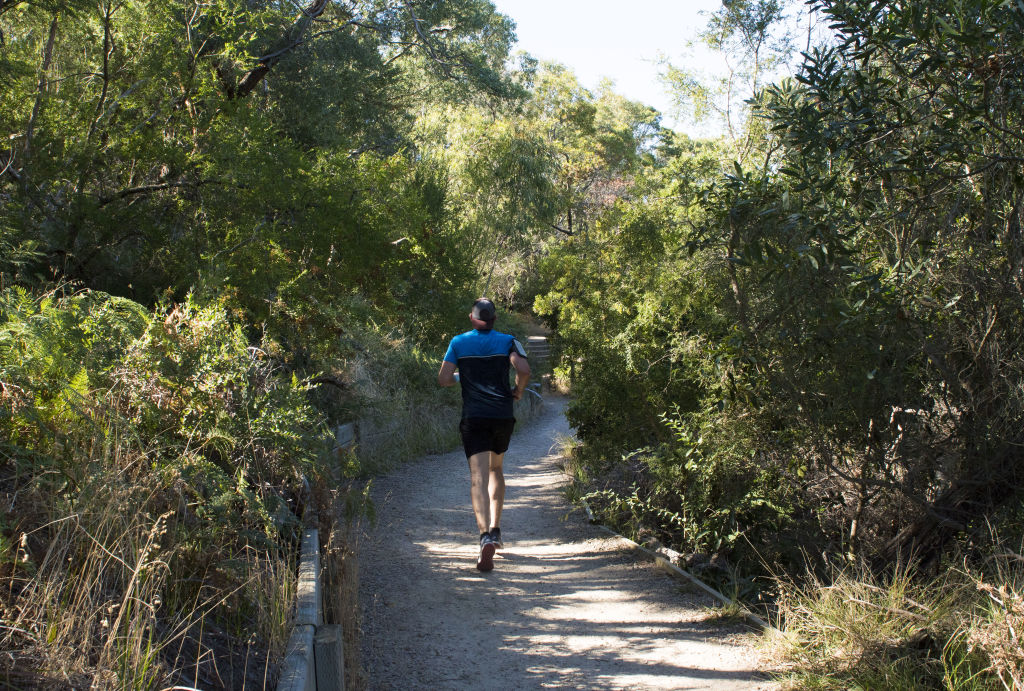 Sweetwater Creek Reserve is a must for local fitness enthusiats. Photo: Vince Caligiuri