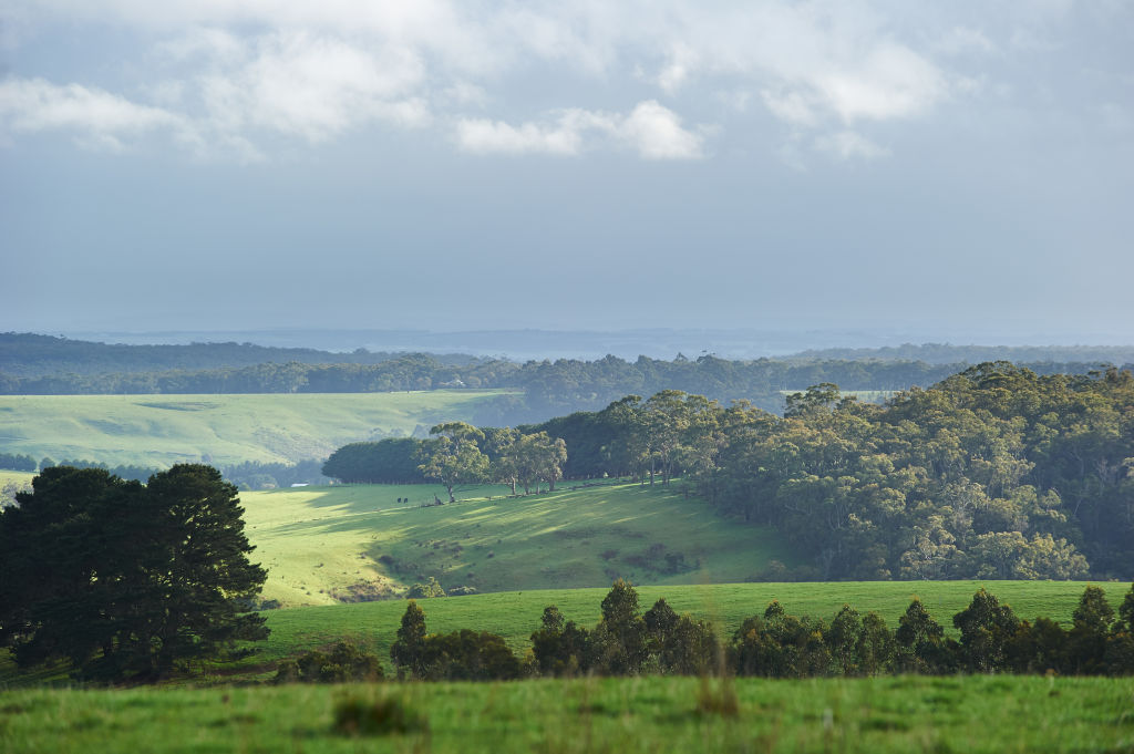 The rolling green of Birregurra. Photo: Colin Page