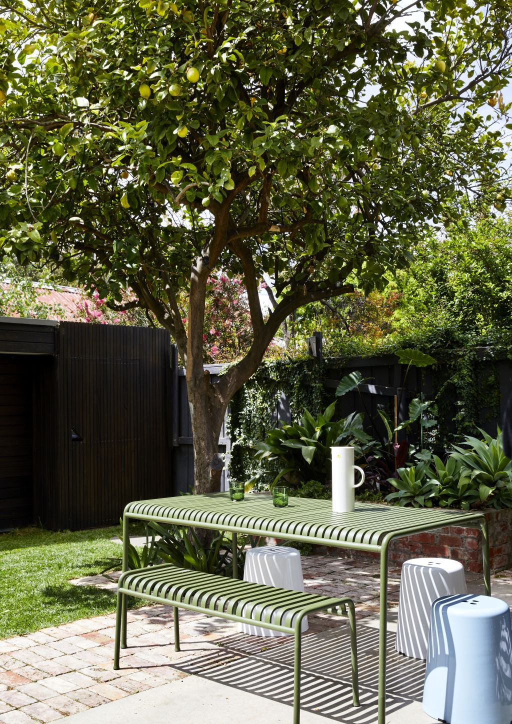 Sun-bathed outdoor spaces at 20 Dartford Street in Flemington. Photo: Caitlin Mills