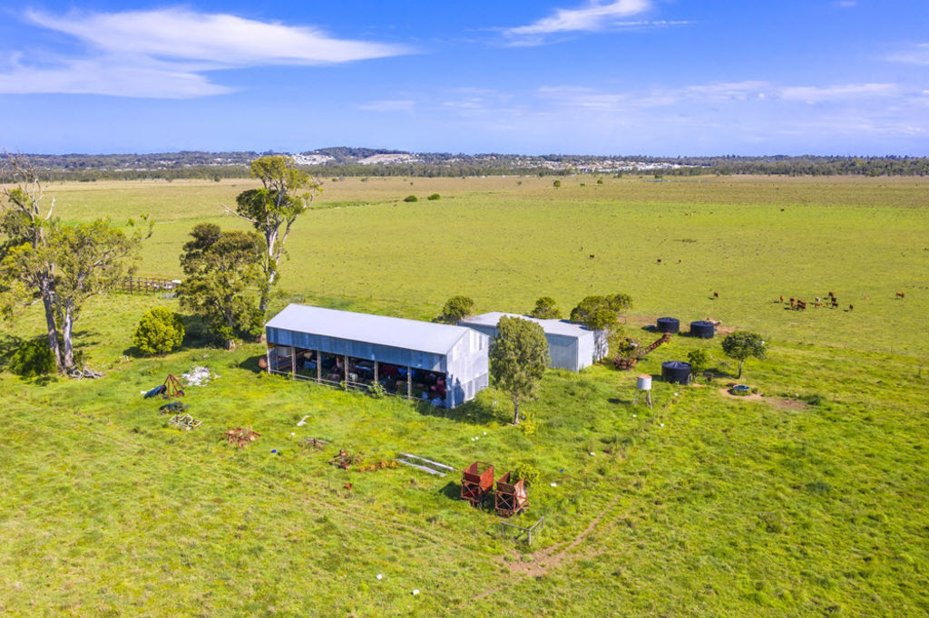 Why this cattle property is attracting buyers who are interested in what's under the grass