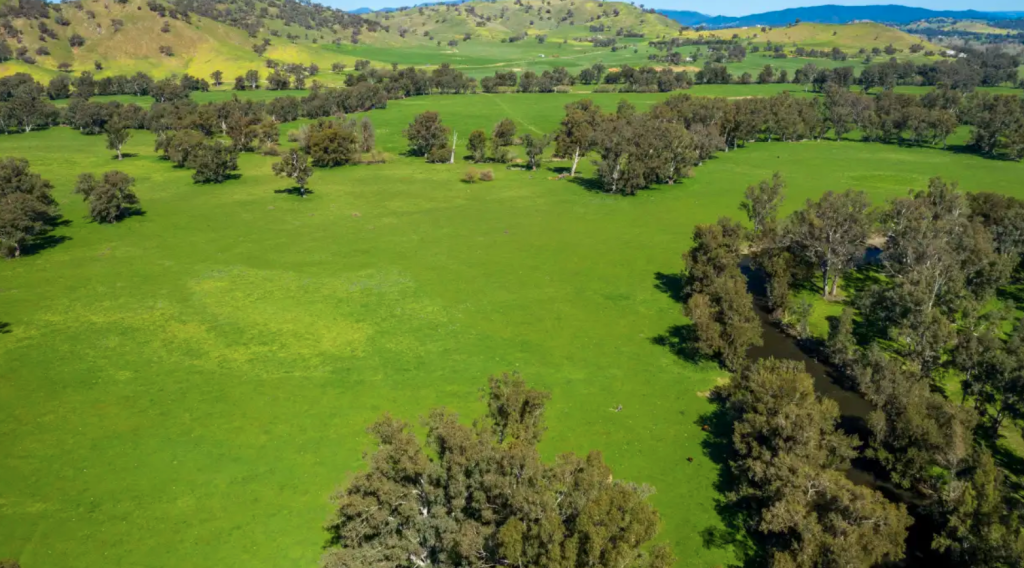 NSW Riverina farm sets district record