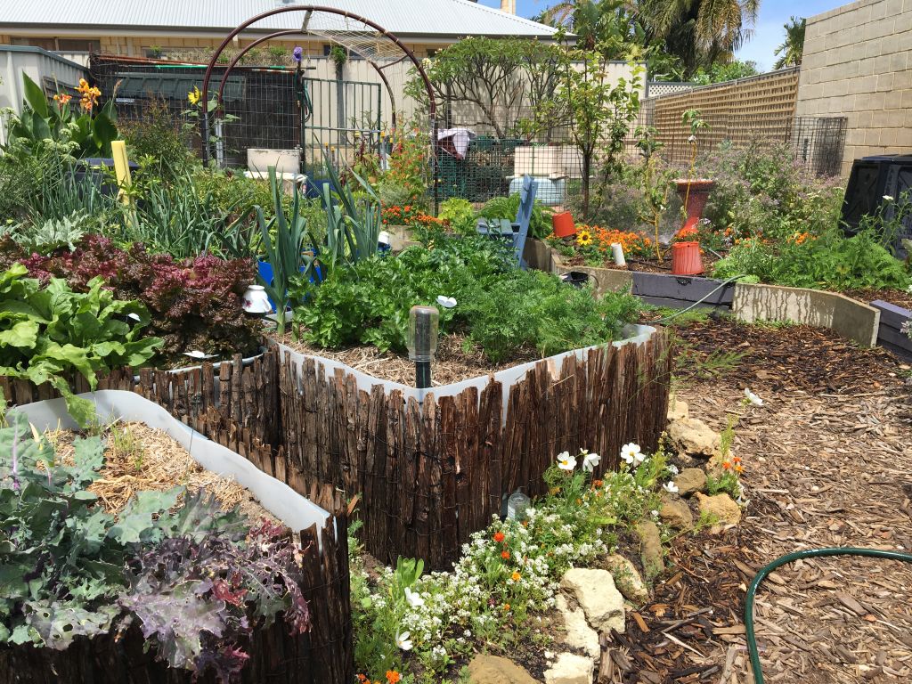 Brad Barber has been able to utilise the backyard of his rental property. Photo: Supplied