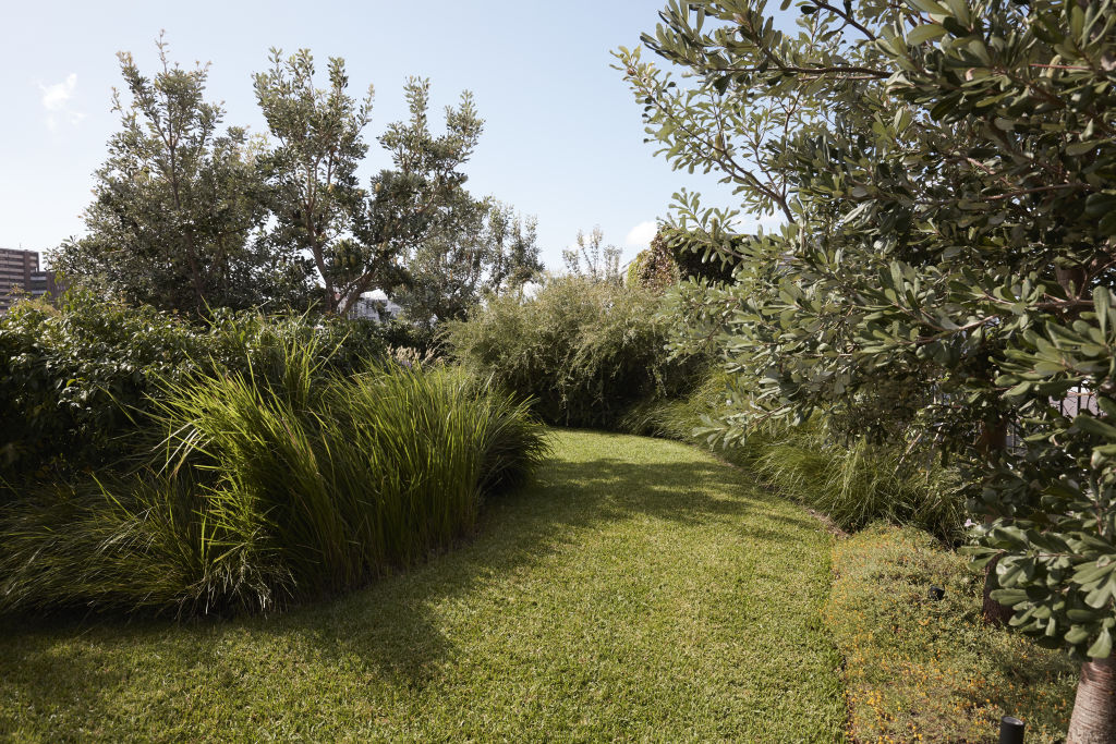 Home owners are wanting less lawn. Surry Hills project by Dangar Barin Smith. Photo: Prue Ruscoe