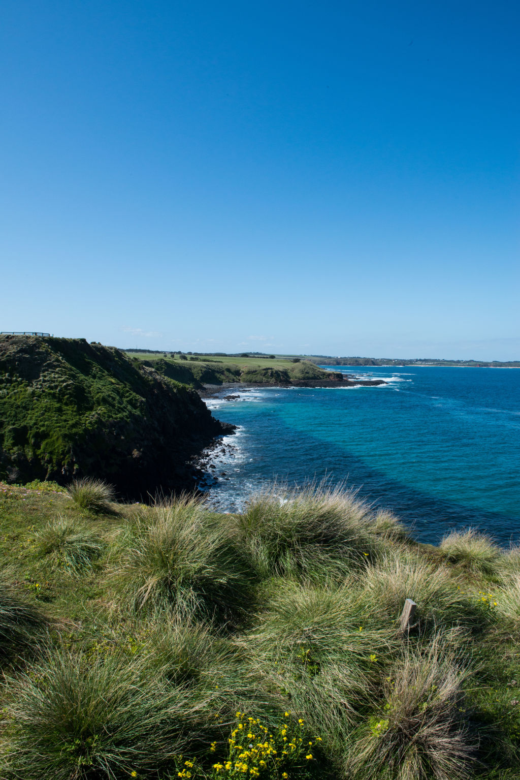 Phillip Island, with its postcard coastline, suits retirement and family buyers. Photo: Emily Fitzgerald