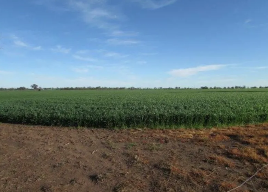 warracknabeal-block