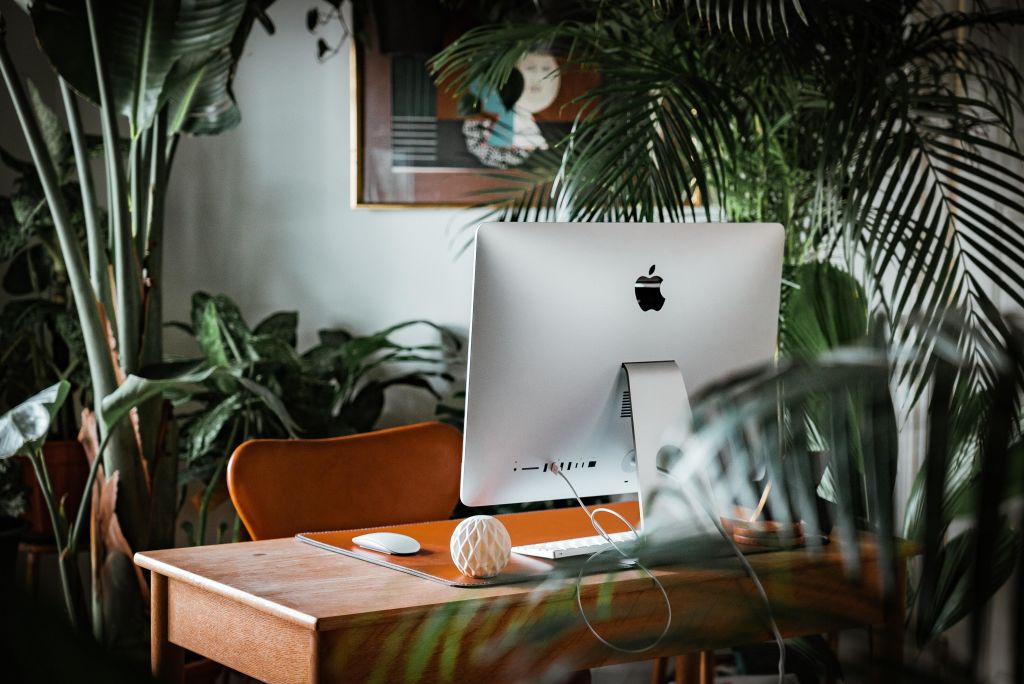 Studies show our productivity is increased when plants are introduced to the workplace. Photo: Unsplash/Andreas Dress