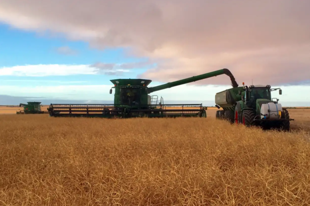 Expanding farmers driving up WA wheat belt values