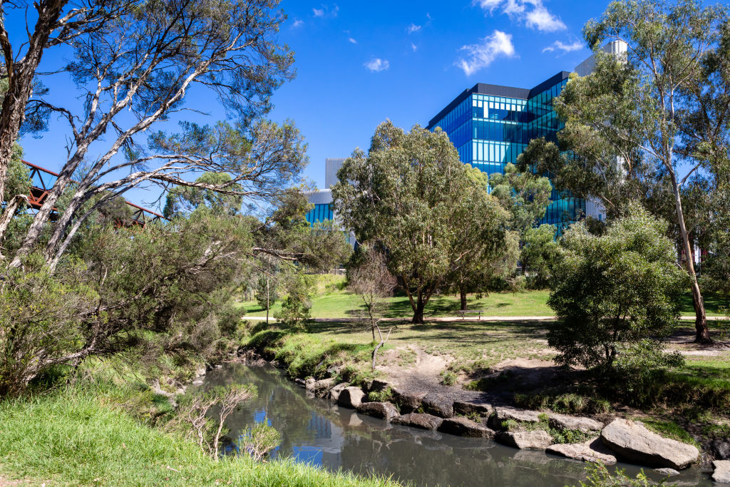 Gardiners Creek Trail runs along the where parkland and new builds meet. Photo: Greg Briggs