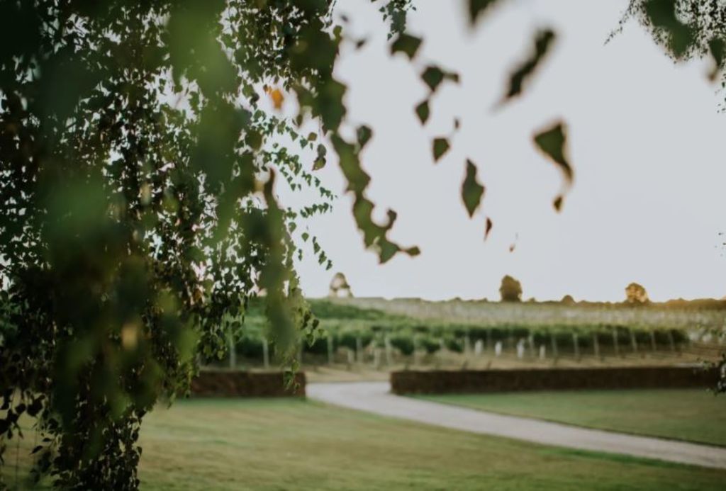 Nice drop: Five idyllic wineries for your 2021 tree change