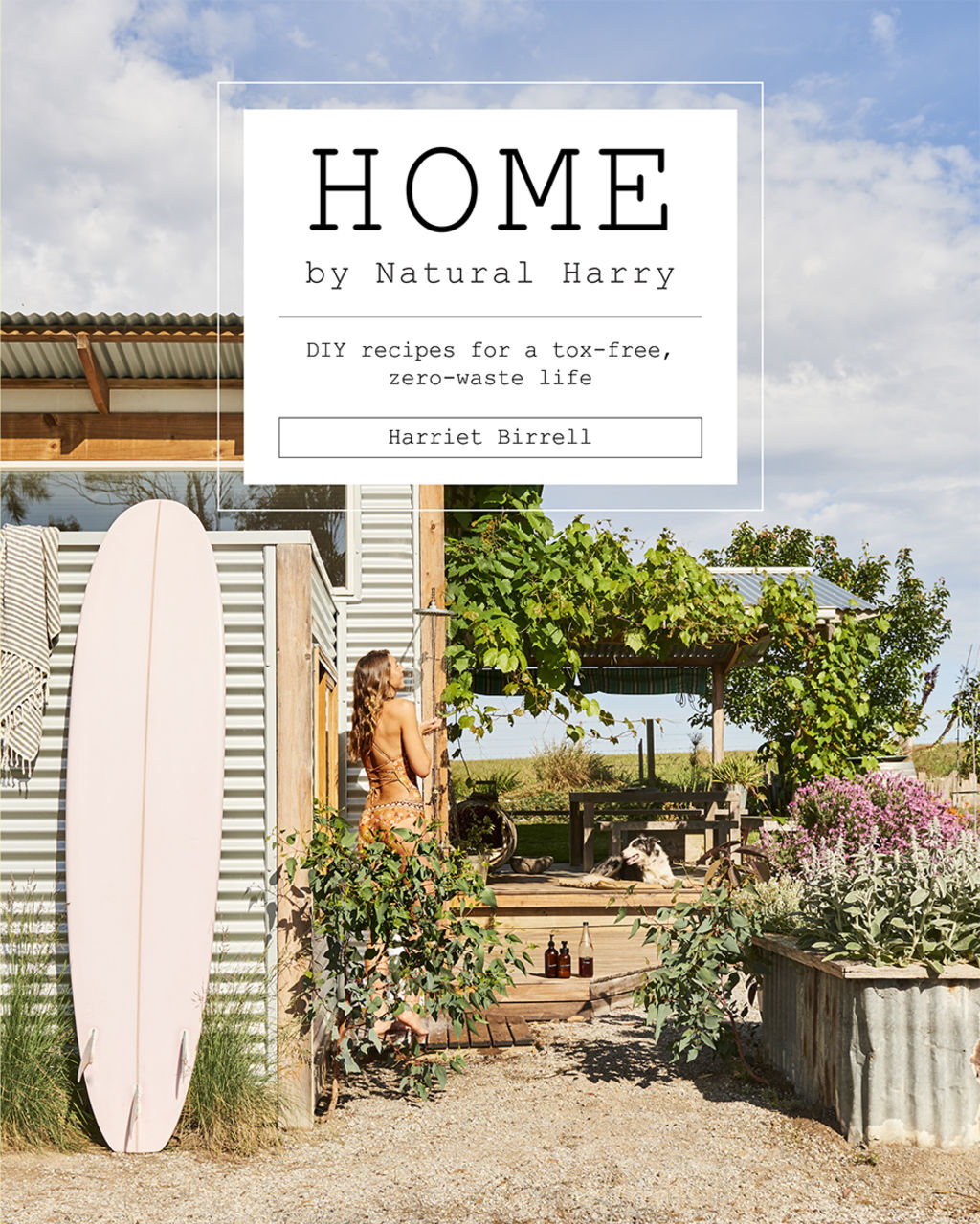 Home by Natural Harry by Harriet Birrell. Published by Hardie Grant Photo: Nikole Ramsay.