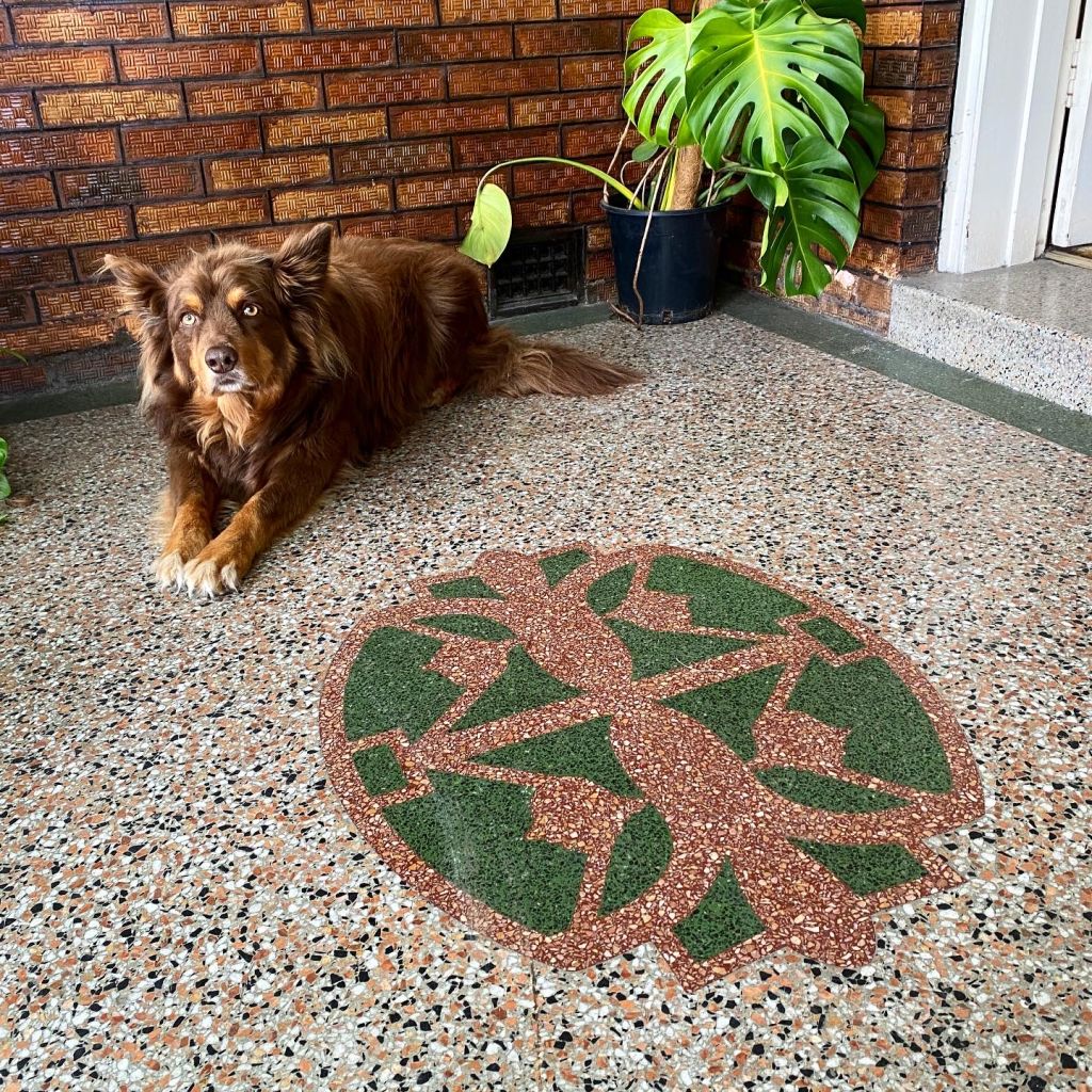Dog Archie sits on the terrazzo front porch, which is admirable for its detailing and quality.   Photo: Krisi Patras
