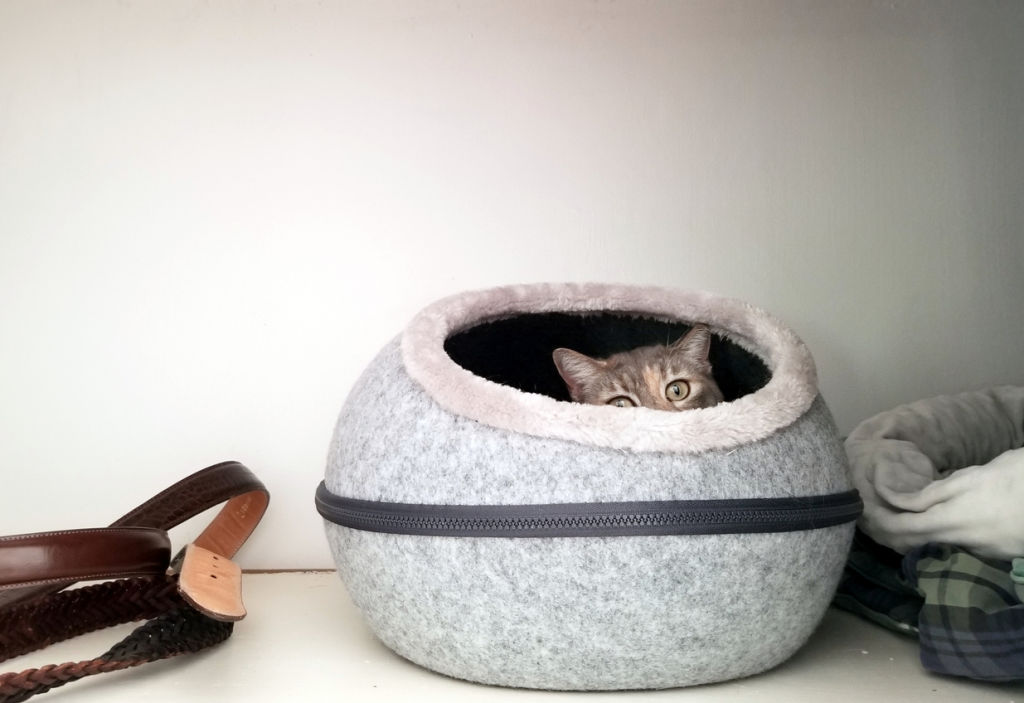 Cats like igloo beds as it makes them feel safe and secure, Button says. Photo: iStock