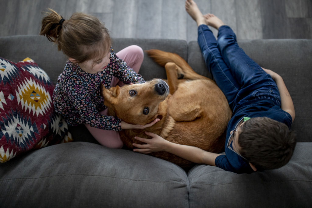 Consider whether getting a pet will suit your lifestyle. Photo: iStock