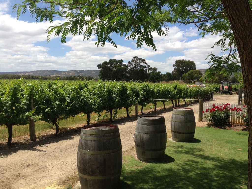 'Absolutely heaving': without international tourists, locals are rediscovering this wine region
