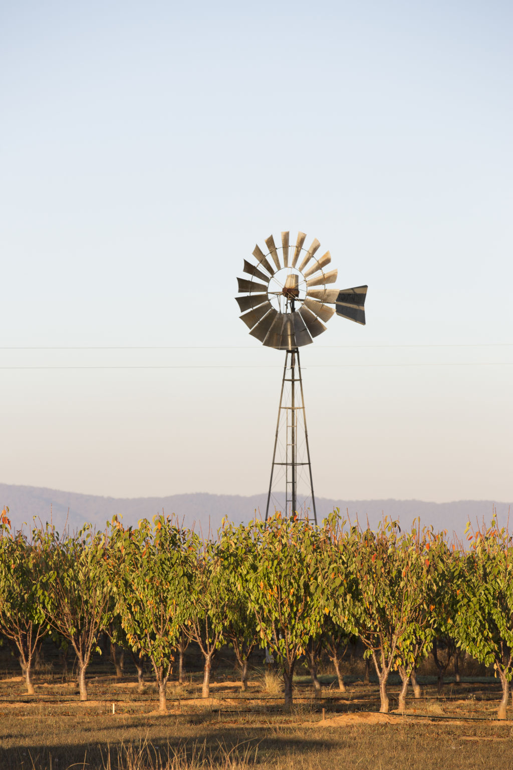 Property prices in Mudgee has dramatically increased over the last decade as a result of increased tourism and the mining boom Photo: James Horan