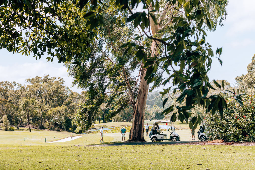With its country club golf course, and natural reserves, Elanora Heights is prized for its greenery Photo: Vaida Savickaite