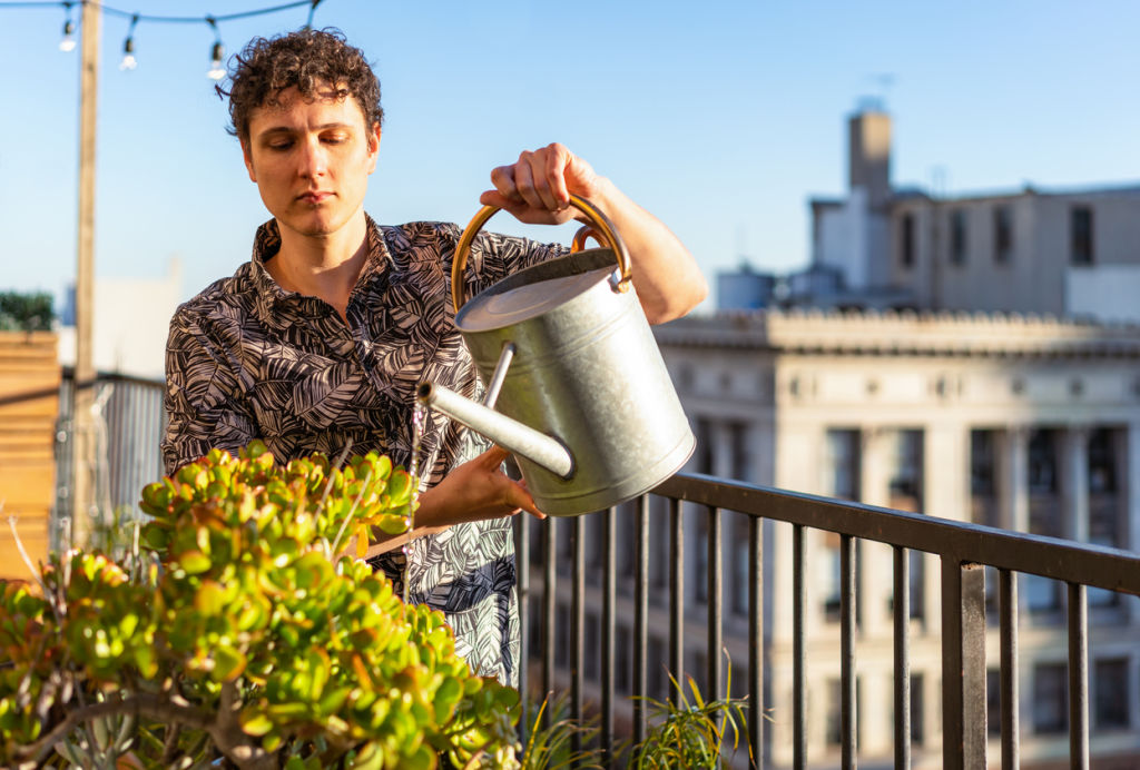 Remember to consider the wind up high and where your plants will be most protected. Photo: iStock