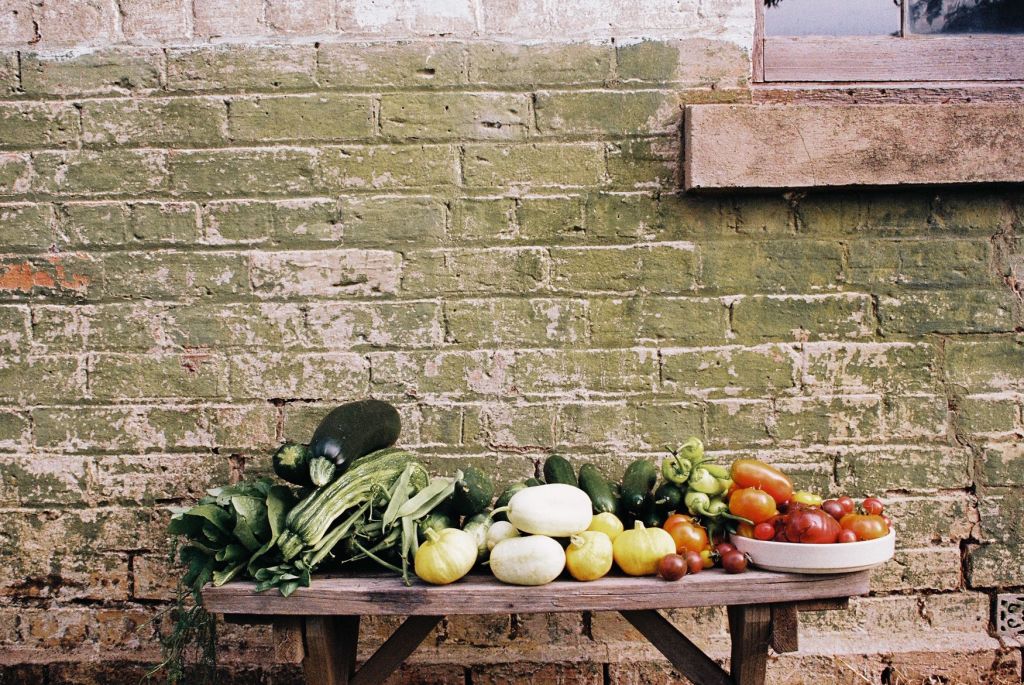 Van Diggele estimates that she’s harvested more than 100 kilograms of produce in the past few months. Photo: Paris Tilley