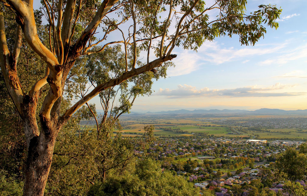 Located along a narrow point on the Peel River floodplain, Tamworth is surrounded by lush natural scenery Photo: Emma Ryan